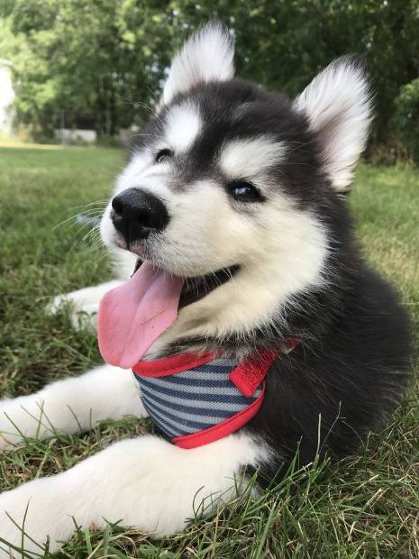 Imagen de Sigueme oara ver mi vida cotidiana🤩🤩